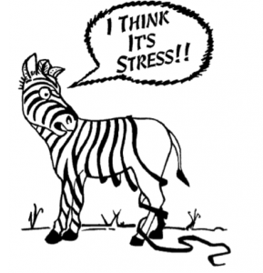 A picture of a zebra with his stripes following off and a slogan that says "i think it's stress"