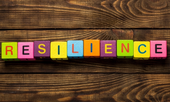 Resilience: How to Survive as a Sales Professional